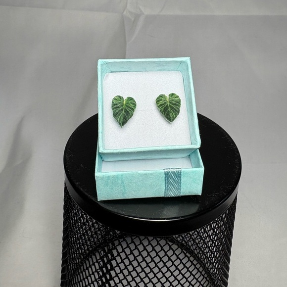 Green Verrucosum Philodendron Monstera Leaf Stud Earrings - Picture 1 of 5